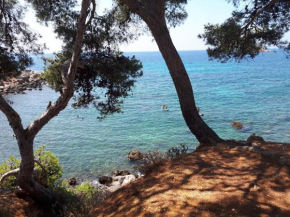 Bandol, T3, les pieds dans l'eau, presqu'île du Capelan